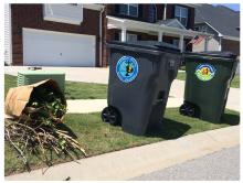 Curbside Collection